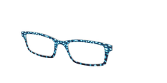 The Whale Shark Spots